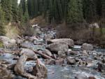 Arashan River flows through Altyn Arashan