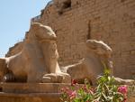 Ram-headed sphinxes