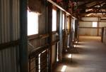 Gawler Ranges Shearers Shed