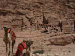 Petra Day Two - Camels with the Urn Tomb in background