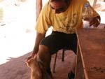 Petra Day Two - Travis giving stray cats water