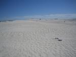 Lancelin sand dunes
