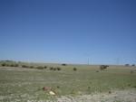 Emu Downs Wind Farm