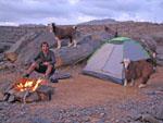 Travis and many goats at Jebel Shams