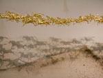 'ninety-nine horses' - gold-leafed horses